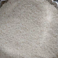 برنج فجر سوزنی