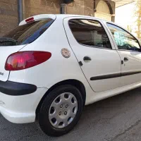 راننده شخصی  منضبط