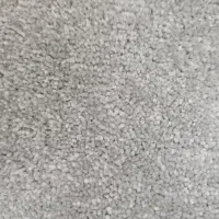 پالاز موکت کات بی