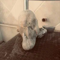 راهنمایی سنگ|کلکسیون و سرگرمی|تهران, اکباتان|دیوار