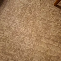 فرش|فرش|تهران, تهرانپارس غربی|دیوار