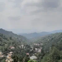 سرچشمه/ ۶۰۰ متر مسکونی/ دنج|فروش زمین و ملک کلنگی|لاهیجان, لیل|دیوار