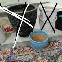 گلدان|گل و گیاه طبیعی|اهواز, کوی باهنر|دیوار