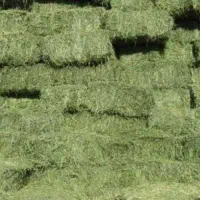 فروش کاه و یونجه درجه یک|عمده‌فروشی|صالح آباد, |دیوار