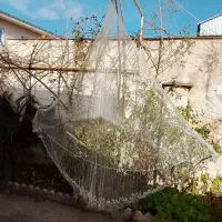 ماشک یا سالی برای ماهیگیری لشت نشا