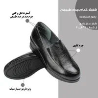 تولید کننده کفش زنانه|کیف، کفش، کمربند|تهران, ارامنه|دیوار