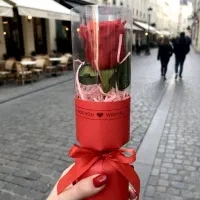 کادوی روز مرد