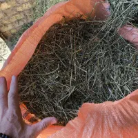 یونجه داس خورده خشک فله