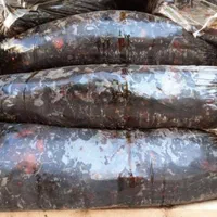 خرما شیره دار