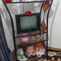 میزوتلویزیون