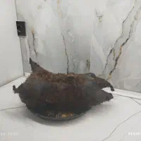 هیزه سالم و تمیز|لوازم جانبی حیوانات|کوهدشت, |دیوار