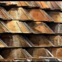 سنتور مافی  خوش صدا /