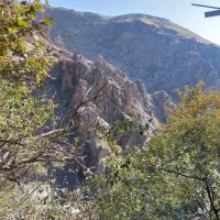 تور نیمروزه ی انگلیسی|تور و چارتر|فشم, |دیوار