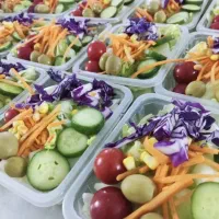 پخش سالاد  و سبزی تازه با بسته بندی بهداشتی|خدمات پذیرایی، مراسم|تهران, جوادیه|دیوار