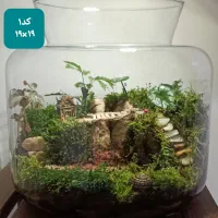 تراریوم (باغ شیشه‌ای) یک هدیه خاص و زیبا