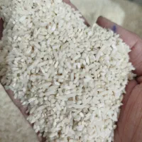 فروش لاشه هاشمی صدری برنج در ماهدشت|خوردنی و آشامیدنی|ماهدشت, |دیوار