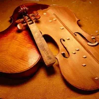 کارگاه ریگلاژ بازسازی تعمیر و فروش و تعویض ویولن|ویولن|تهران, استاد معین|دیوار