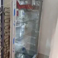 یخچال|فروشگاه و مغازه|کبودرآهنگ, |دیوار