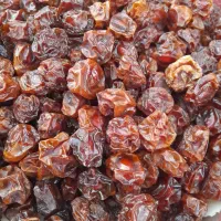 فروش عمده آلو خشک باغی|خوردنی و آشامیدنی|شیراز, زند|دیوار