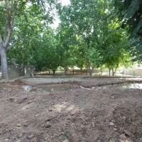 زمین با کاربری گاوداری، شهر اردل