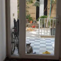 اجاره زیرزمین نورگیر