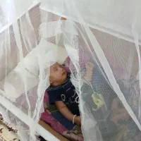 گهواره وکالسکه نو مناسب سیسمونی|کالسکه و لوازم جانبی|بومهن, |دیوار