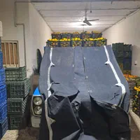 حمل بار با نیسان باربری وانت بار با کارگر|خدمات حمل و نقل|رشت, نیروی دریایی|دیوار