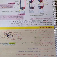 زیست زیر ذره‌بین چاپ ۱۴۰۳، در حد نو|کتاب و مجله آموزشی|شیراز, کلاهدوز|دیوار
