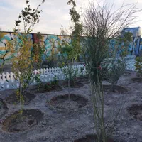 فروش باغچه ۴۵۰ متری سنددار تهاتر دارم