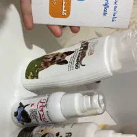 سگ/پامر/ماده|سگ|تهران, صادقیه|دیوار