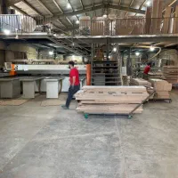 کارگر ساده    یا  نیمه وارد   یا وارد