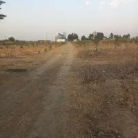 یک عددزمین باقیمت خوب بفروش میرسد|فروش دفتر صنعتی، کشاورزی، تجاری|فاضل آباد, |دیوار