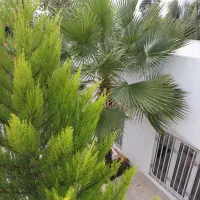 فروش ویلای نوساز ۲۲۰متری|فروش خانه و ویلا|دابودشت, |دیوار