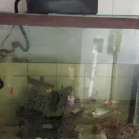 آکواریوم