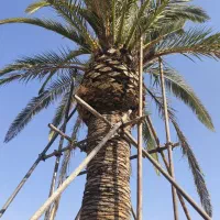 صفر تا صد فضای سبز
