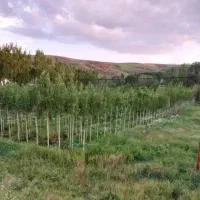باغ ویلا۷۰۰۰متر بر جاده تهران تبریز|فروش خانه و ویلا|تهران, آذری|دیوار