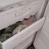 فروش یخچال وفریزر|یخچال و فریزر|الیگودرز, |دیوار