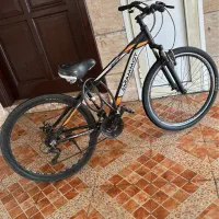 دوچرخه ماموت