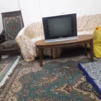 تلویزیون|تلویزیون و پروژکتور|کرمان, |دیوار