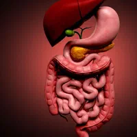 تدریس زیست شناسی،شیمی و علوم متوسطه اول|خدمات آموزشی|اصفهان, بهار آزادی|دیوار