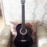 گیتار برند ولف