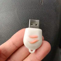 فلش پیدا شده