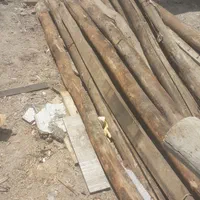 خریدار چوب|خدمات باغبانی و درختکاری|اردبیل, |دیوار