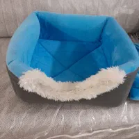 لانه سگ و گربه