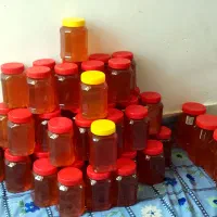 عسل و ژل رویال با کیفیت ، با ضمانت|خوردنی و آشامیدنی|تهران, اتابک|دیوار
