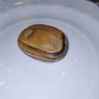 چند عددسنگ قدیمی کلکسیونی