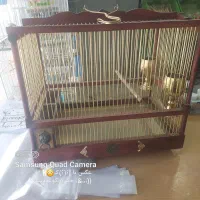 قفس دست ساز چوبی استاد کار