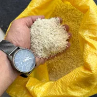 برنج طارم اصل شمال