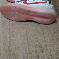 کتونی نایک|کیف، کفش، کمربند|پاکدشت, حصار امیر|دیوار