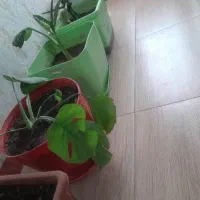 خانه نیم ساز در روستای بهشتی